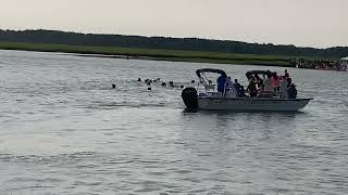 99th Annual Chincoteague Pony Swim  Swim Back  July 26 2024 [upl. by Fee]