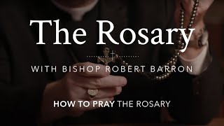 How to Pray the Rosary with Bishop Barron [upl. by Gollin831]