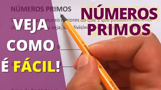 NÚMEROS PRIMOS Veja Como é Fácil [upl. by Nore359]