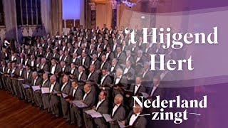 Nederland Zingt Psalm 42  t Hijgend Hert [upl. by Aicelaf999]