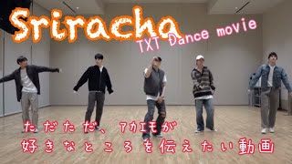 【⚠️ツボ動画】Sriracha♪TXT Dance movie ただただツボなポイントを伝えたい動画 [upl. by Joliet468]