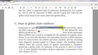 64 globin gene organization steps of globin synthesis [upl. by Pennie]