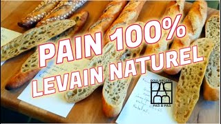 PAINS 100 levain naturel [upl. by Grunberg40]