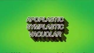 Apoplast symplast and vacuolar pathway [upl. by Elamaj]