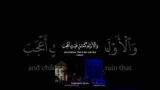 Worldly Life  Beautiful Quran Reminder  Surah Al Hadid [upl. by Cirtap]