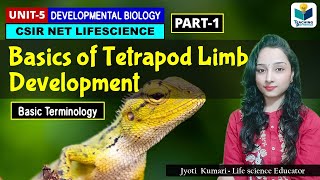 BASICS OF TETRAPOD LIMB DEVELOPMENT CSIR NET DEVELOPMENTAL BIOLOGY [upl. by Labana245]