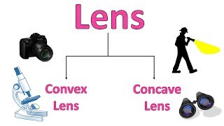 Differences between Concave and Convex lens [upl. by Martella]