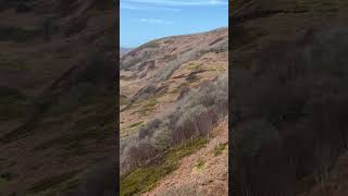 A walk to Langden Castle in the Trough of Bowland hiking adventure walking history nature [upl. by Euseibbob]