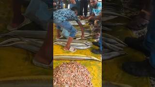 কক্সবাজার ফিসারিজ ঘাট। Coxs Bazar fishery ghat coxsbazar seafood sea seafish সামদ্রিকমাছ [upl. by Kitty]