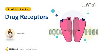 Drug Receptor Interaction  Pharmacodynamics pharmacology [upl. by Sihtnyc]