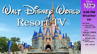 WDW Resort TV Today Channel  Disney World  LIVE STREAM  New Version [upl. by Narrad]