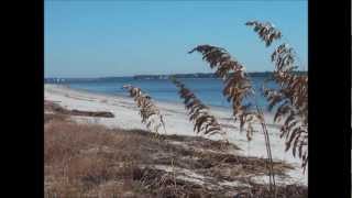 Oak Ridge Daufuskie Island SC January 11 2011 Daufuskie Realty [upl. by Brainard]