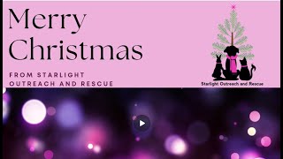 Starlight Outreach and Rescue Christmas Video 2023 [upl. by Otiragram]