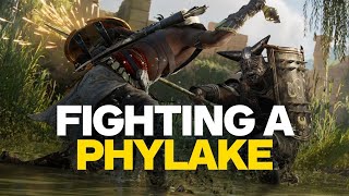 Assassins Creed Origins  Fighting A Phylake in 4K [upl. by Hera175]