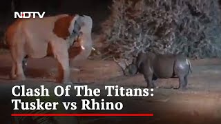 Video Of Fierce Fight Between Elephant And Rhino Goes Viral [upl. by Ardeth]