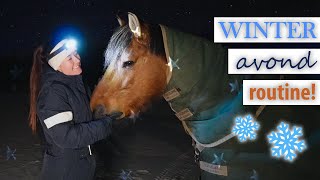 Winter avond routine met paarden aan huis ❄️ [upl. by Aig]