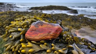 Rockhounding Port Lorne Nova scotias Bay of Fundy [upl. by Odnomyar]