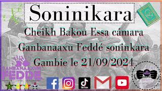 Cheikh Bakou Essa cámara Ganbanaaxu Feddé soninkara le 21092024 [upl. by Kellie]