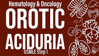 Orotic Aciduria HemeOnc  USMLE Step 1 [upl. by Elise]