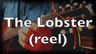 The Lobster reel  Irish traditional music  mandola [upl. by Yanahc]