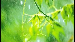 10 Minutes of relaxing rain sounds for Meditation Ideal for Beginners [upl. by Elayor555]