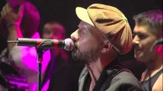 Shantel amp The Bucovina Club Orkestar Live  Disko Boy  Sziget 2012 [upl. by Mozes]