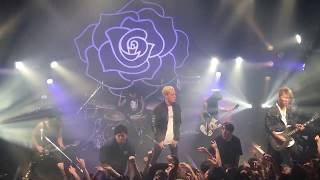 coldrain  Final destination  Mito Light House 3rd Nov 2017 水戸ライトハウス [upl. by Templeton]