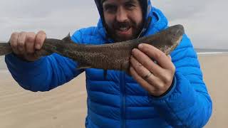 Beach fishing for Dogfish with mackerel lugworm and drone practice [upl. by Opiak277]