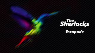 The Sherlocks  Escapade Official Audio [upl. by Yerffe]