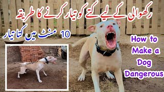 Dog Ko Aggrasive kesay karaye  Sirf 10 mints ki trainging  Simple and easy punjabishok4499 [upl. by Aicil345]