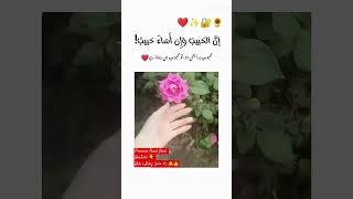 Mangy faqeer duae  beautiful poetry urdupoetry love Hasrat ishqbaaz rahejunoon trend [upl. by Wu]