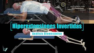 HIPEREXTENSIONES INVERTIDAS  Análisis biomecánico  WeFitPlace  Aprendiendo gym  Glúteo [upl. by Ellened506]