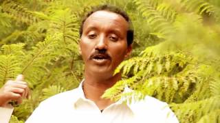 Teklay Berhe ተኽላይ በርሀ ንዕናይ ንዓጋመ  Official Tigrigna Music Video [upl. by Camden417]