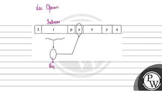 What is the role of repressor proteins in gene regulation [upl. by Kubis]