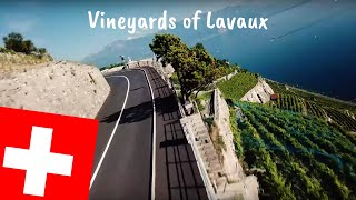 Vineyards of Lavaux  Grandvaux Switzerland  DJI Mavic Pro  4k HD [upl. by Ynottirb]