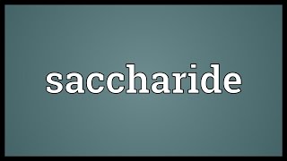 Saccharide Meaning [upl. by Aneris]