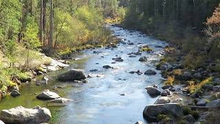 Stanislaus River  Calaveras Big Trees State Park  Arnold California [upl. by Lily]