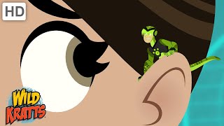 Lets Play Creature Hide and Seek  Wild Kratts [upl. by Sllew]