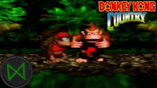 Cunning Linguists  Donkey Kong Country 3 [upl. by Sucramraj872]