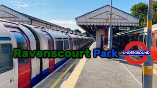 London Underground District and Piccadilly Line Trains at Ravenscourt Park Station  160824 [upl. by Allana]