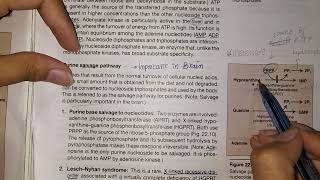 Purine Salvage Pathway Chapter 22 Part 3 Biochemistry Lippincott [upl. by Gawlas]