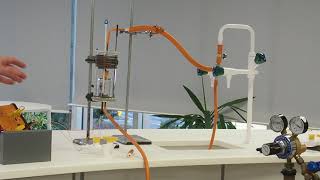 Using a calorimeter IGCSE Biology [upl. by Nylssej208]