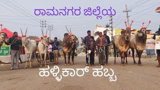 Kengal cattle fair 2024  Hallikar Habba [upl. by Copland]