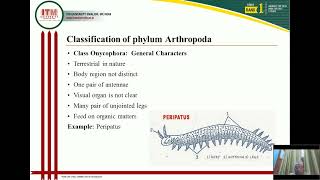 Classification of phylum Arthropoda up to classes English [upl. by Htebzil]