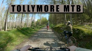 Tollymore natural MTB trails on the Marin Alpine Trail E2 [upl. by Trahern482]