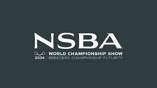 2024 NSBA World Show Tuesday August 13 Mustang Arena [upl. by Heins]