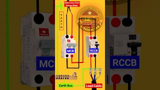 😳🤔How to connect RCCB with MCB  MCB and RCCB Connection shorts [upl. by Wittenburg]