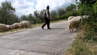 Best of Assisi  Familienwallfahrt mit Bischof Friedhelm [upl. by Akilak]