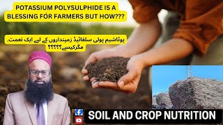 پوٹاشیم پولی سلفائیڈ ایک نعمت۔ مگرکیسے؟؟Reel Viral Soil And Crop Nutrition Soil And Crop Nutrition [upl. by Whitson34]