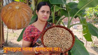 recipe of pumpkin seeds ll কুমড়োর বীজের অসাধারণ দুটি রেসিপি। [upl. by Arualana]